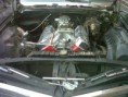 /album/fotogaleria-impala-69/img00096-20111115-1925-jpg1/