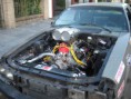 /album/mustang-cobra/a16-jpg/